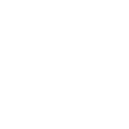 check-icon